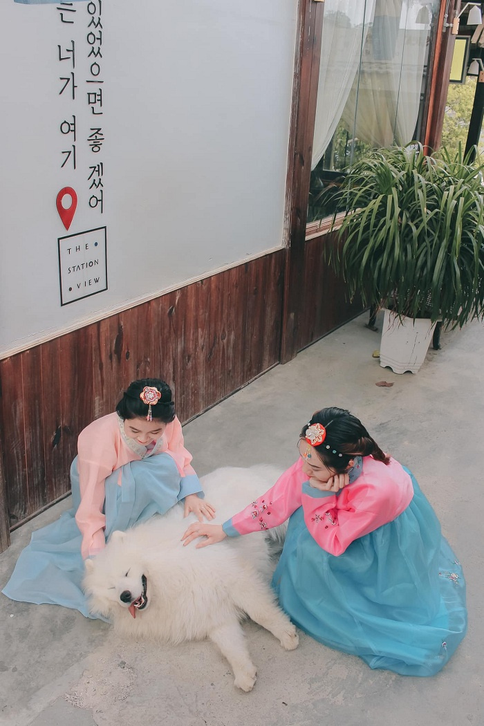 Check in tại quán cà phê kiểu Hàn ở Đà Lạt, hai chị em gái khiến dân tình xuýt xoa vì góc nào cũng xinh