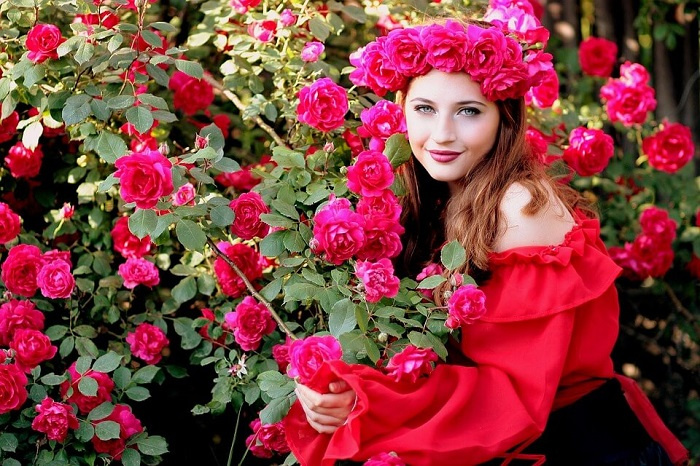 vườn hoa ecopark, vườn hoa ecopark ở đâu, vườn hoa hồng, vườn hoa hồng đẹp nhất, khu vườn hoa hồng, vườn hoa ecopark, vườn hoa ecopark ở đâu, vườn hoa hồng, vườn hoa hồng đẹp nhất, khu vườn hoa hồng