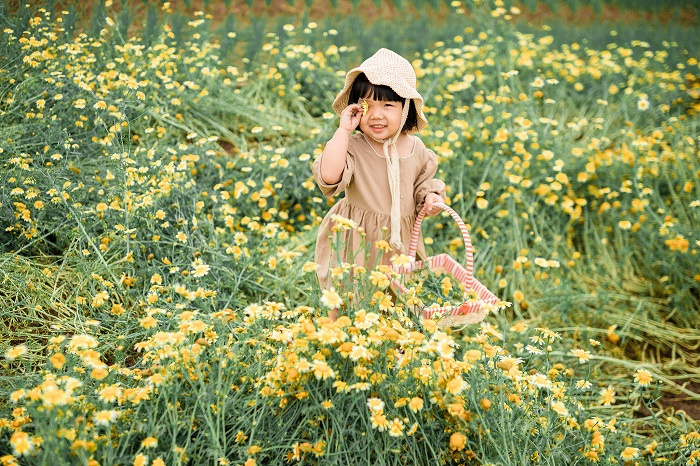 Dân mạng ‘ôm tim’ vì bộ ảnh quá xinh xắn của em bé chụp tại vườn hoa ở Thái Bình