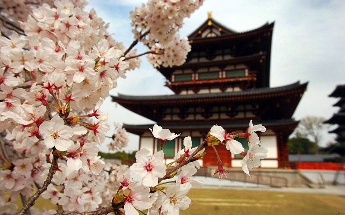 kinh nghiệm du lịch nhật bản, cẩm nang du lịch Nhật Bản, du lịch Nhật Bản, du lịch nhật bản tự túc, kinh nghiệm du lịch nhật bản tiết kiệm, kinh nghiệm du lịch Nhật Bản