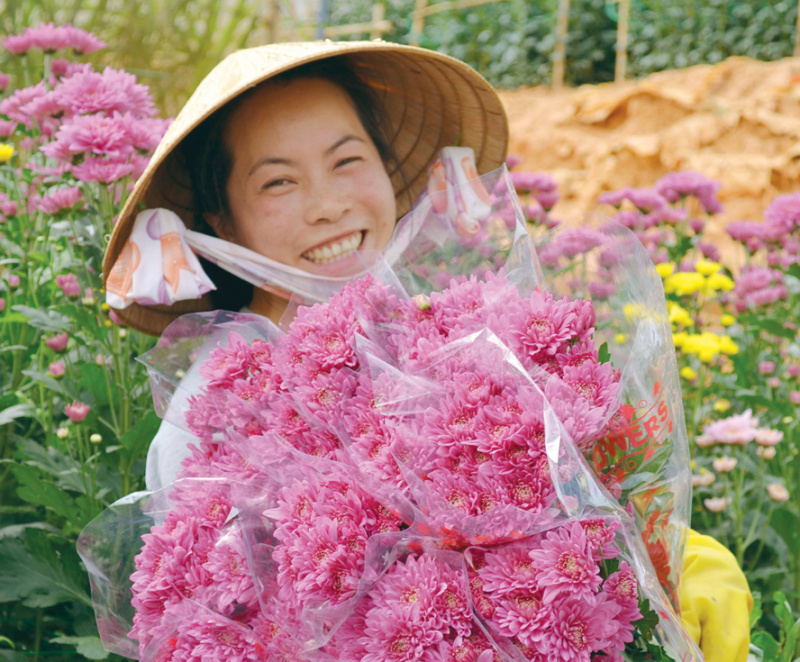 Đà Lạt, hoa Đà Lạt, nghề trồng hoa ở Lâm Đồng