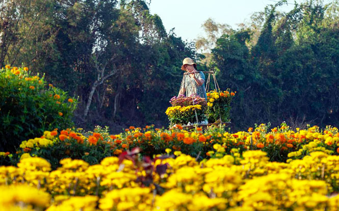 Làng hoa Phú Mậu, Thừa Thiên Huế, du lịch
