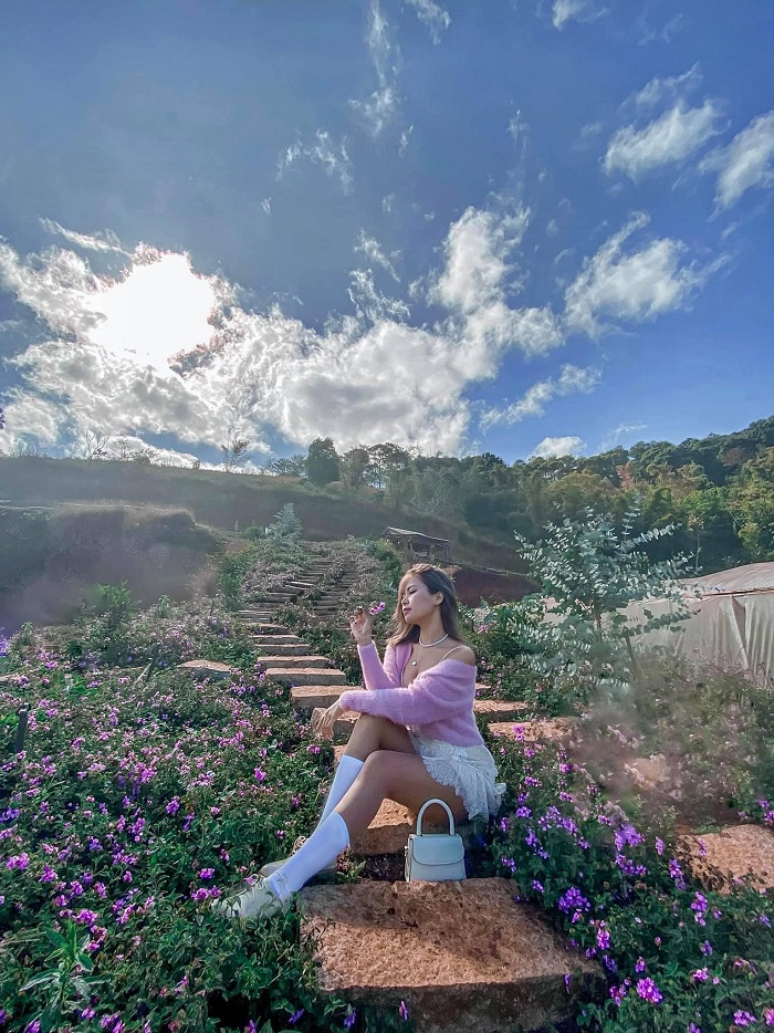 Check in ngay vườn hoa lavender Túi Thương Nhớ - điểm đến mới siêu lãng mạn ở Đà Lạt