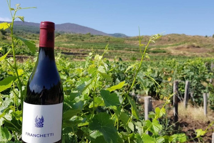 Du lịch Italia, du lịch rượu vang, trang trại rượu vang nổi tiếng ở Sicily