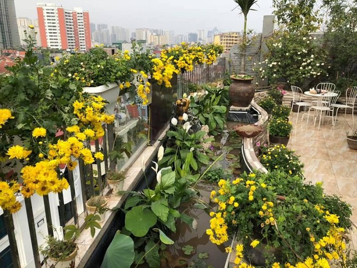 khu vườn ngập hoa, khu vườn trên sân thượng, khu vườn hoa ở Hà Nội, khu vườn ngập hoa