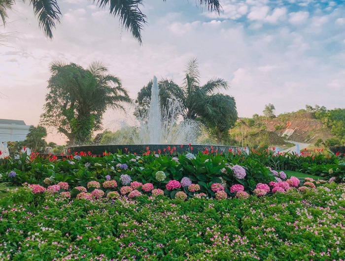 Có một ‘thiên đường hoa’ đẹp mãn nhãn bên trong vườn hoa FLC Hạ Long 
