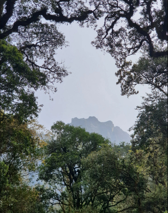 rừng putaleng lai châu, Du lịch Lai Châu, tỉnh lai châu, chinh phục đỉnh putaleng, trekking núi putaleng, Putaleng Lai Châu, Putaleng Lai Châu