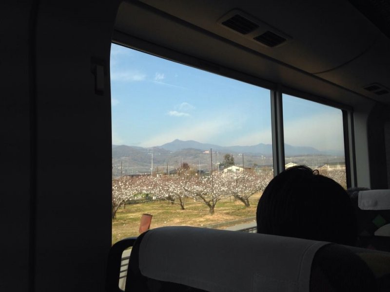 Transportation, daruma doll, Kannon, Ikaho Town, Kusatsu Onsen, Koumi Line, Discover Kanto by Train