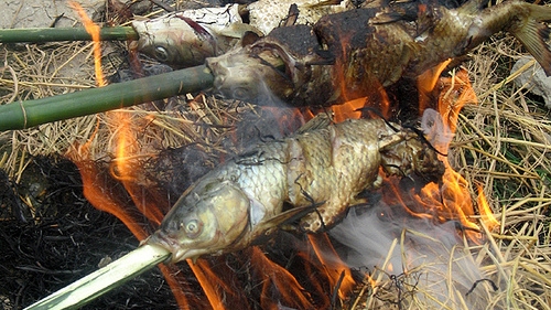 Ca Nuong Do (steamed broiled fish) in Hoa Binh province