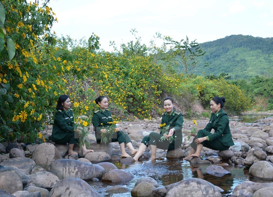 Muong Nhe district, Dien Bien province, tree marigold, wild sunflower, Vietnam, Vietnamplus, Vietnam News Agency