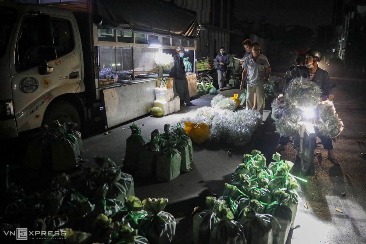insect market, Saigon, market, animal, HCMC