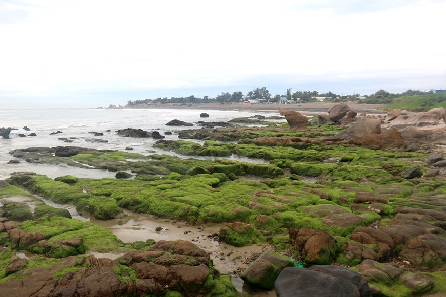 Vietnam tourism: Pristine moss-covered stones in Binh Thuan