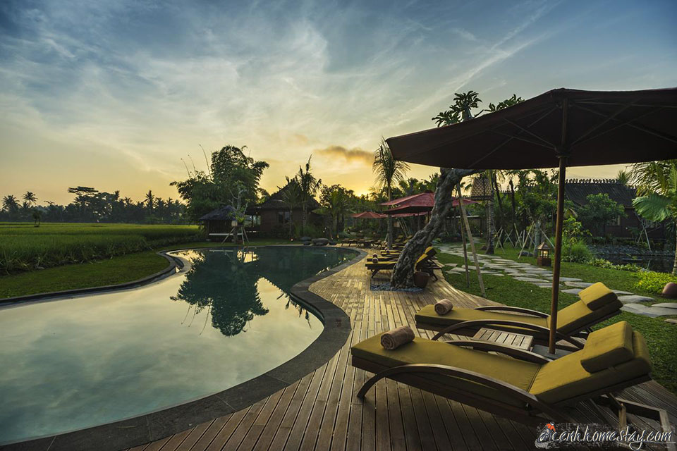 Top 20 Biệt thự Villa Bali Indonesia giá rẻ đẹp view biển có hồ bơi