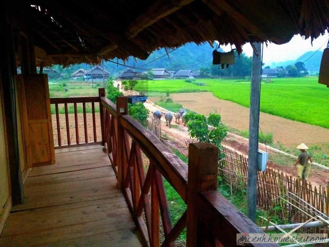 Top 42 Homestay Hà Giang giá rẻ và đẹp níu chân du khách dưới 300k 
