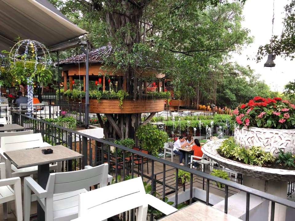 Top 16 Quán cafe quận Gò Vấp đẹp, giá rẻ có view sống ảo ở Sài Gòn – TP. HCM 