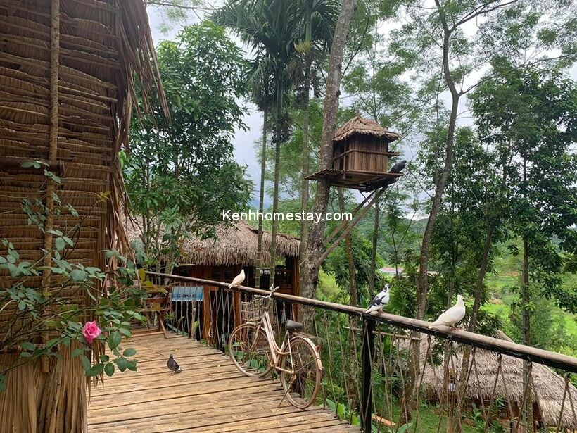 Ciel de Puluong: Khu nghỉ “nhà mái lá” ẩn mình giữa thiên nhiên xanh mát 