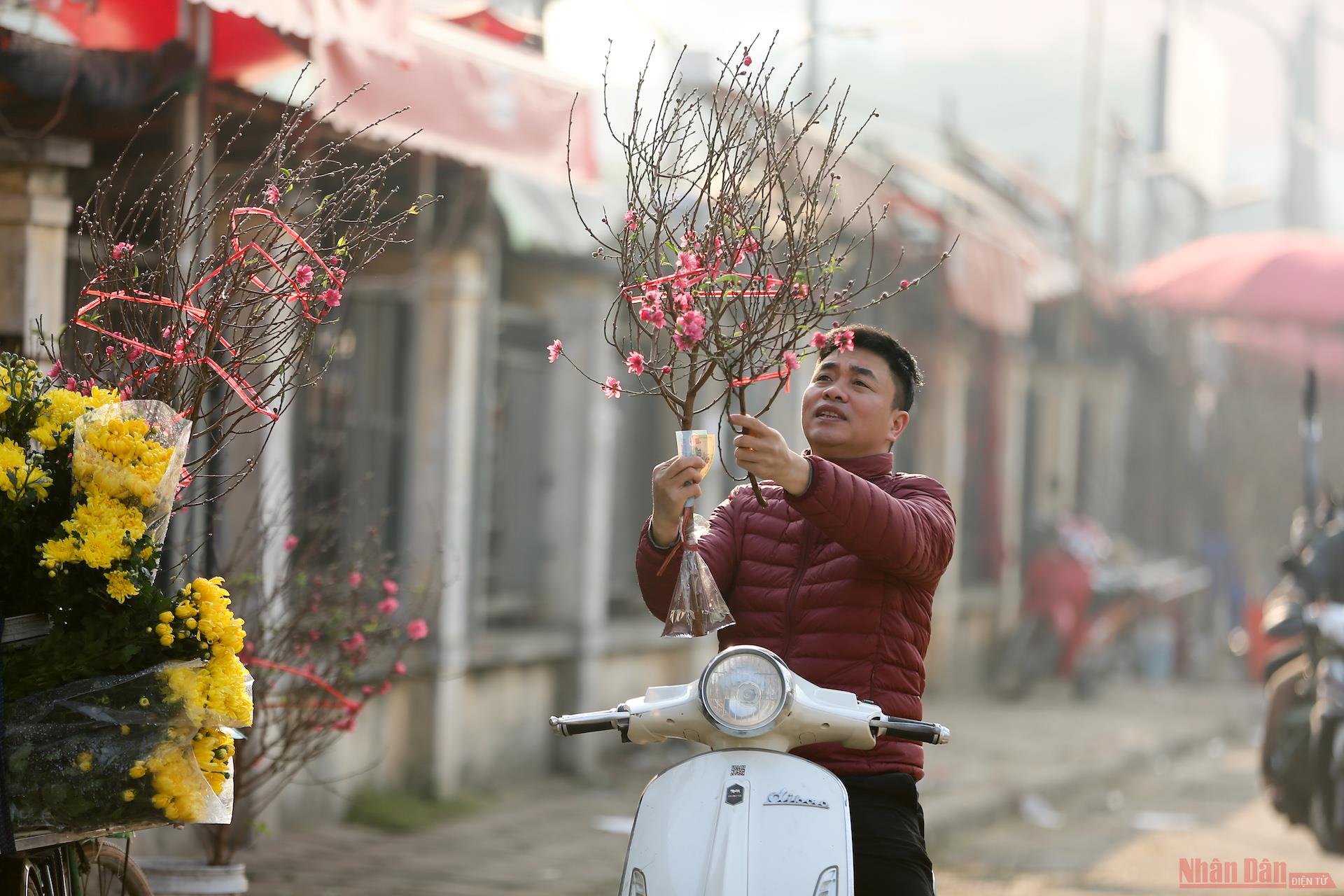 Peach blossoms signal early Tet in Hanoi streets