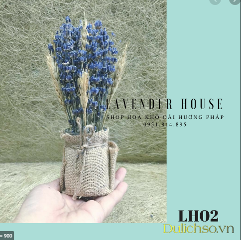 Top 7 shop hoa khô lavender vạn người mê tại Hà Nội