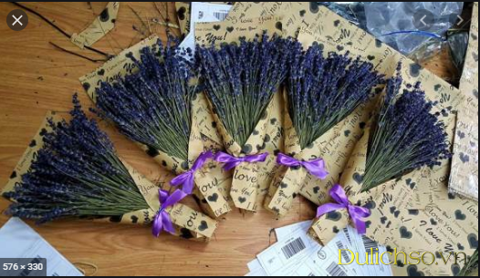Top 5 shop hoa lavender tại Hà Nội  đẹp nhất