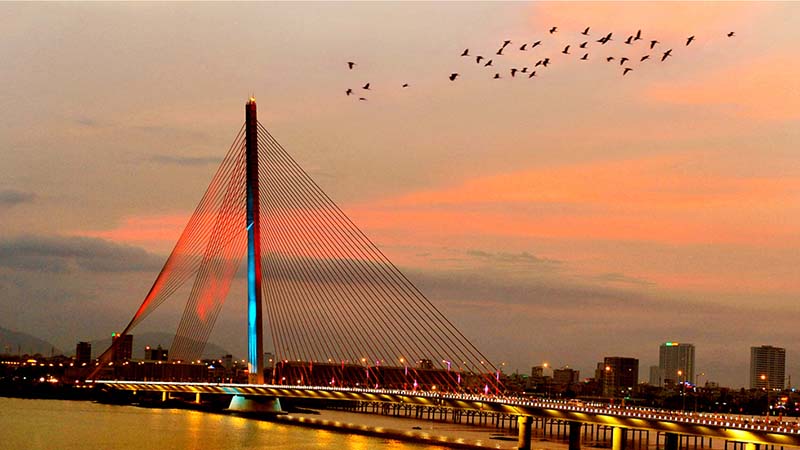                           Top 5 cây cầu độc đáo và đẹp nhất ở Đà Nẵng                      