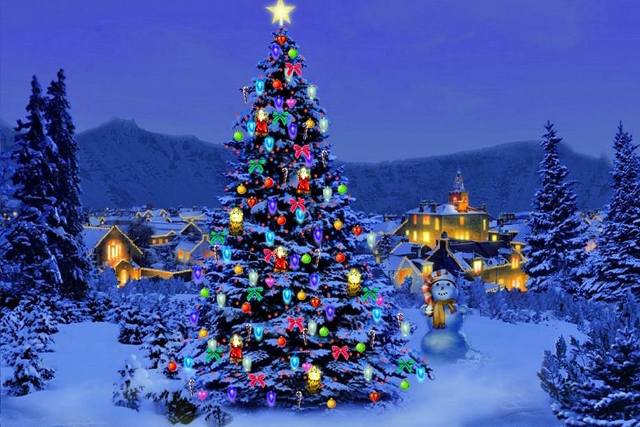 Nguồn gốc và ý nghĩa của cây thông Noel trong lễ Giáng sinh