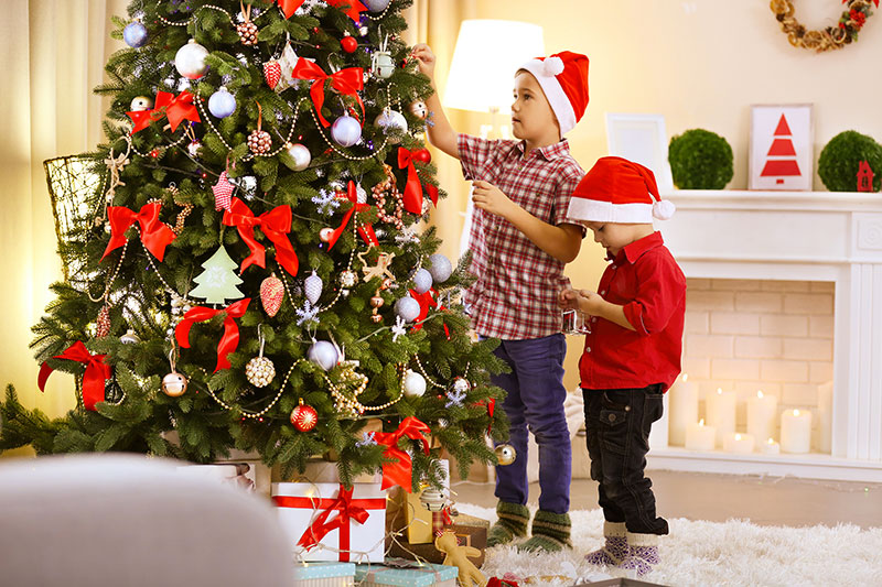                          Nguồn gốc và ý nghĩa của cây thông Noel trong lễ Giáng sinh                      