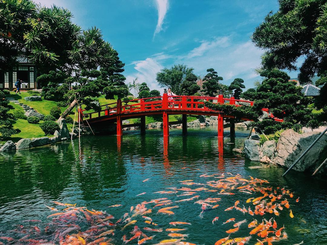                           Cận cảnh công viên Nhật Bản độc đáo tại Nha Trang khiến dân tình phát sốt                      