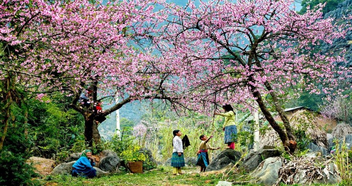                          5 điểm đến lãng mạn ở Việt Nam cho mùa Valentine ngọt ngào                      