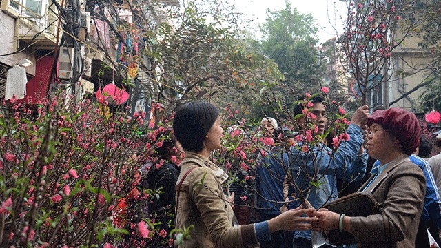 Spring fair to bring festive Tet atmosphere to Hanoi’s Old Quarter
