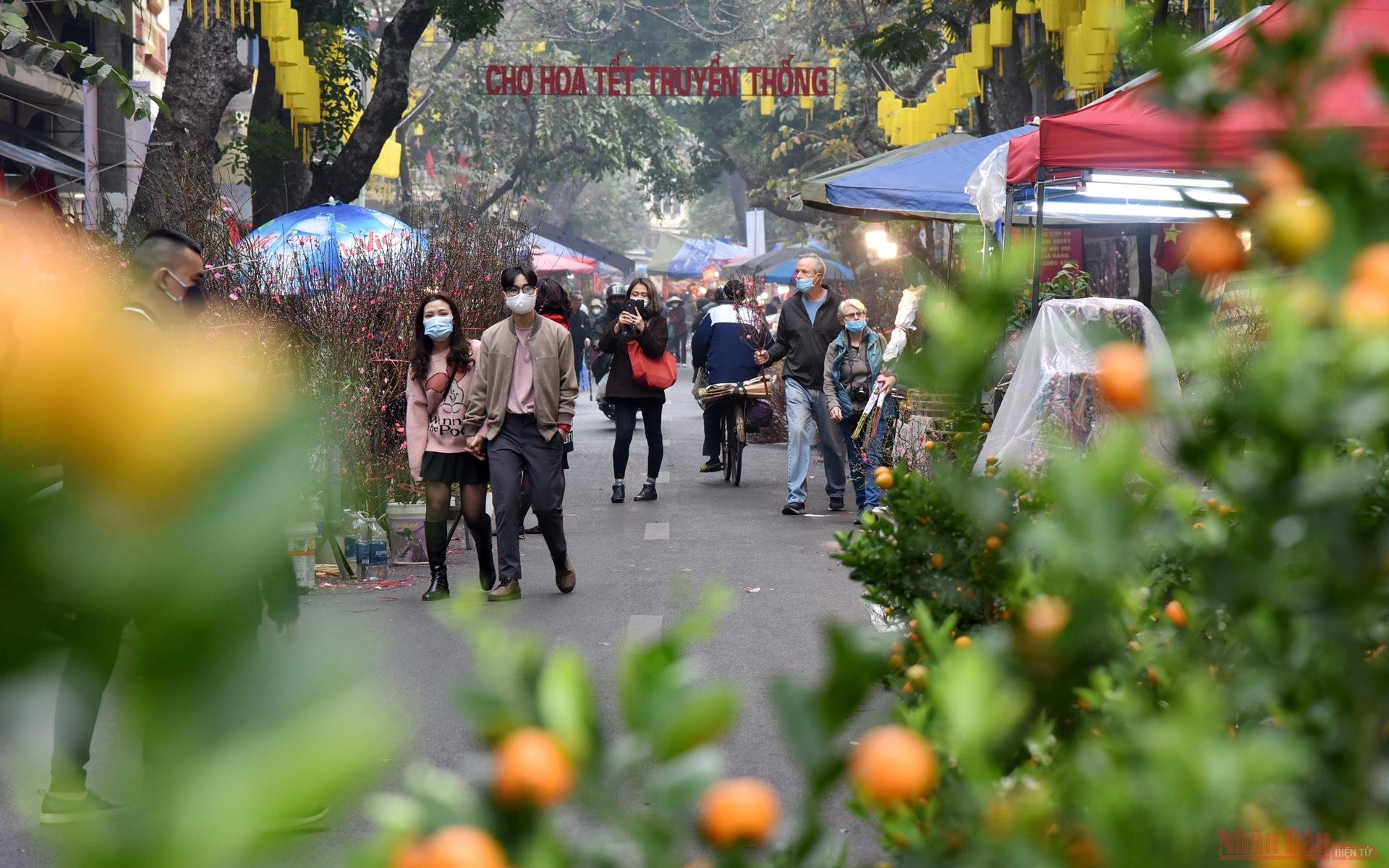 Brilliant Hang Luoc Flower Market ahead of Tet