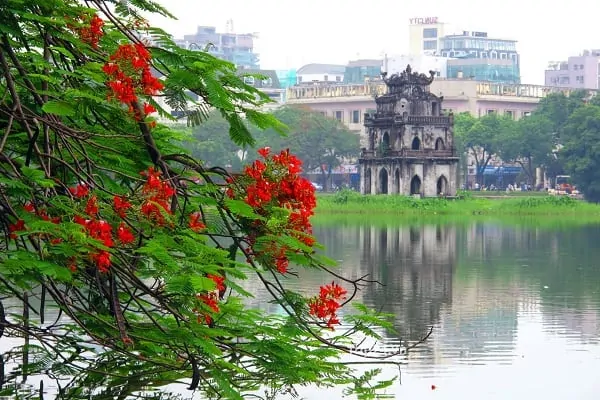 Four Vietnamese cities among most popular destinations in Asia: TripAdvisor