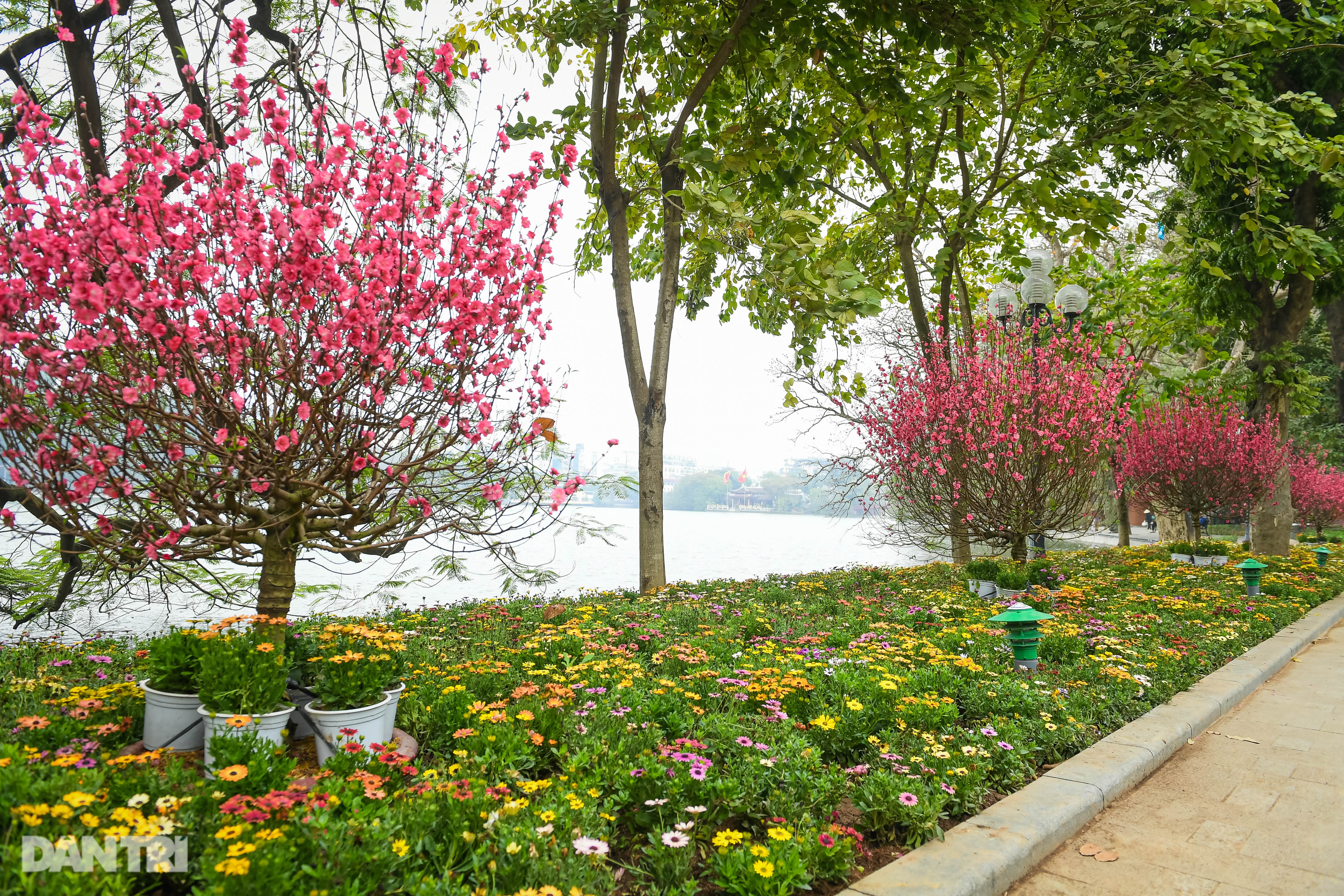 Colourful Hanoi streets ready for Tet