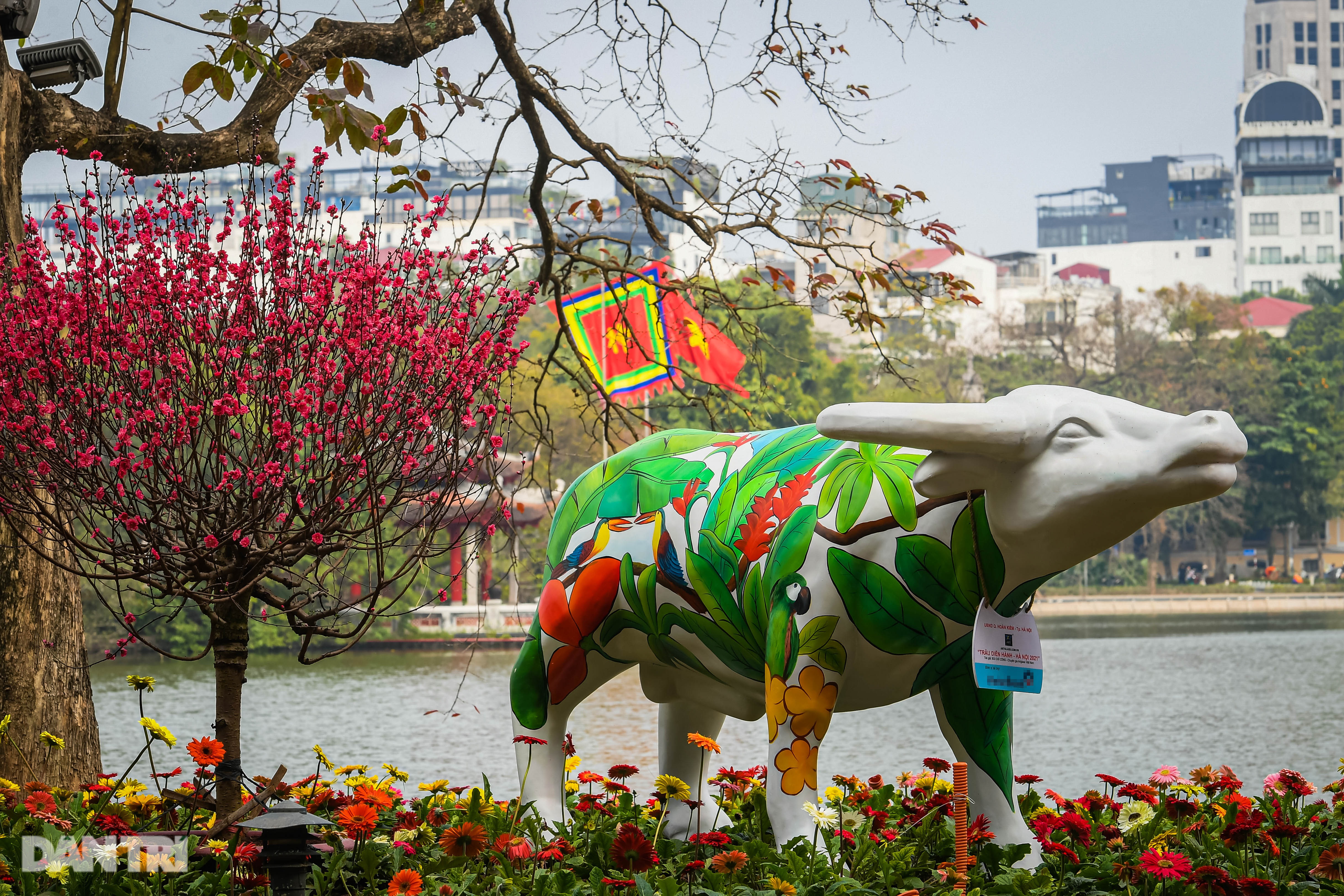 Colourful Hanoi streets ready for Tet