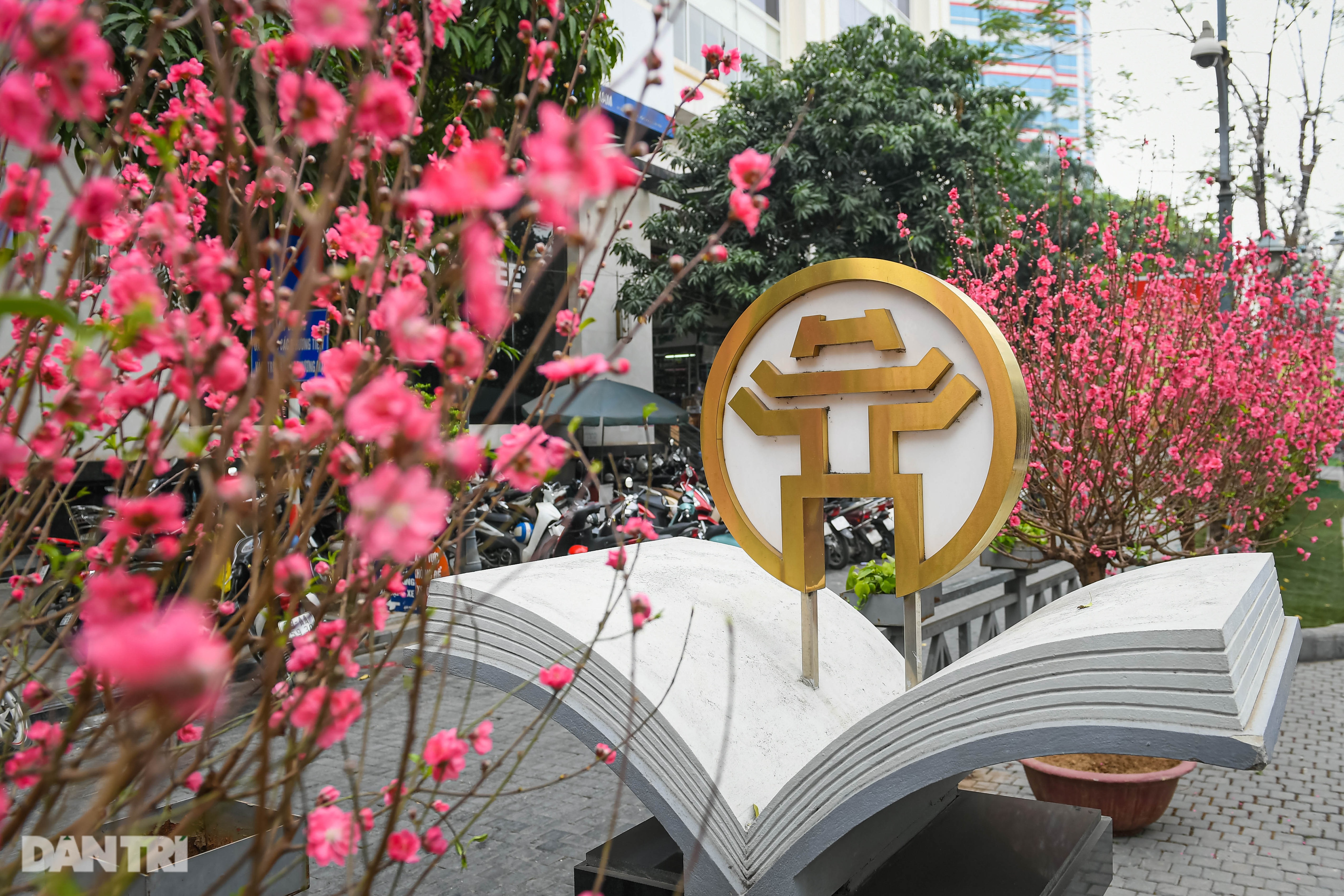 Colourful Hanoi streets ready for Tet