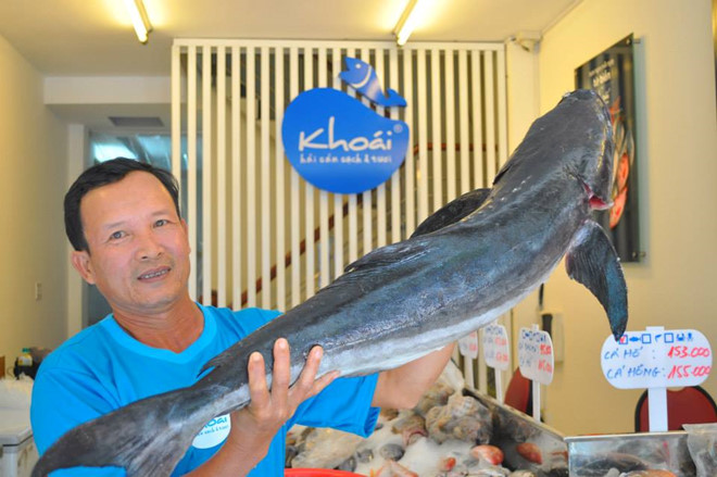 Top 10 Vựa hải sản Sài Gòn TPHCM tươi sống lớn nhất giá rẻ đáng mua 