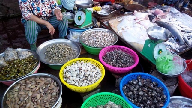 Top 10 Quán chợ vựa hải sản Côn Đảo tươi sống ngon nên mua khi du lịch 