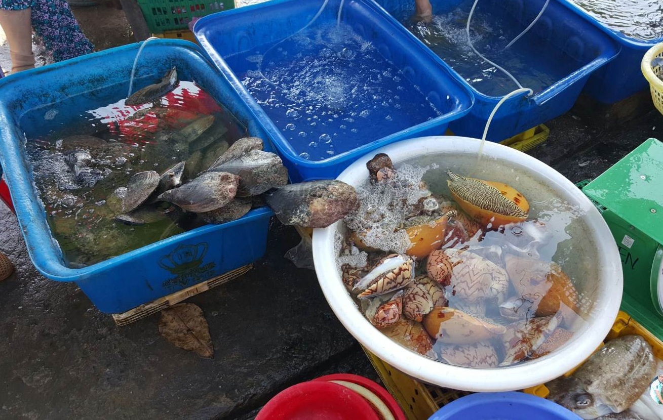 Top 10 Quán chợ vựa hải sản Kiên Giang tươi sống ngon giá rẻ nhất