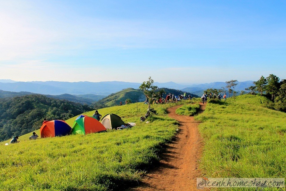 Tà Năng Phan Dũng: Kinh nghiệm phượt, 30 trải nghiệm trekking khó quên 