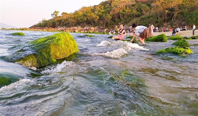 Mossy rocks on Da Nang stunning beach