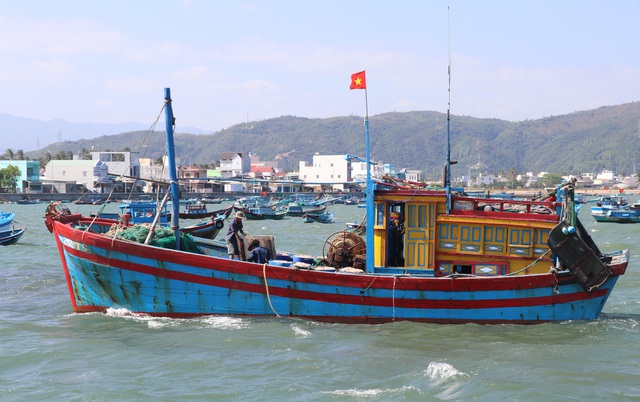 Fishermen in Phu Yen enjoy big catches after Tet