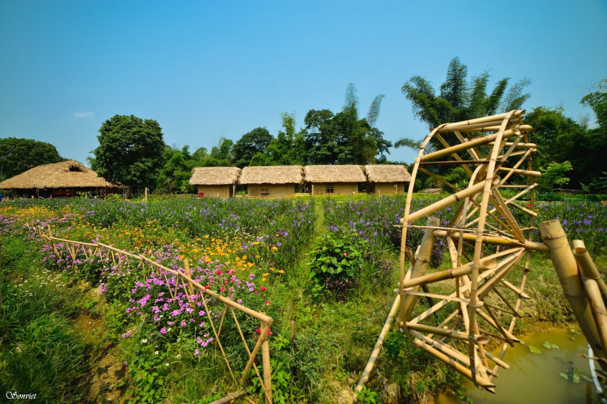 Lạc trôi vào khu vườn cổ tích tại Lương Sơn homestay Cao Bằng 