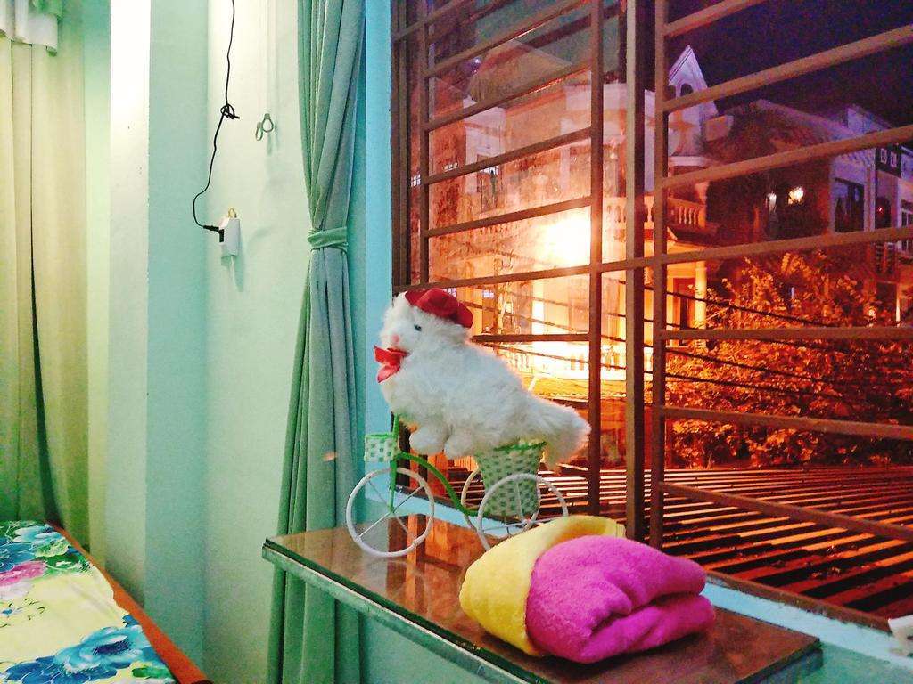 Win’s homestay: Nơi cho du khách mang theo thú cưng ở Đà Nẵng 
