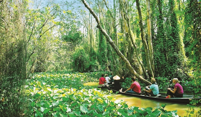 Lost in Xẻo Quýt national historic site in Đồng Tháp