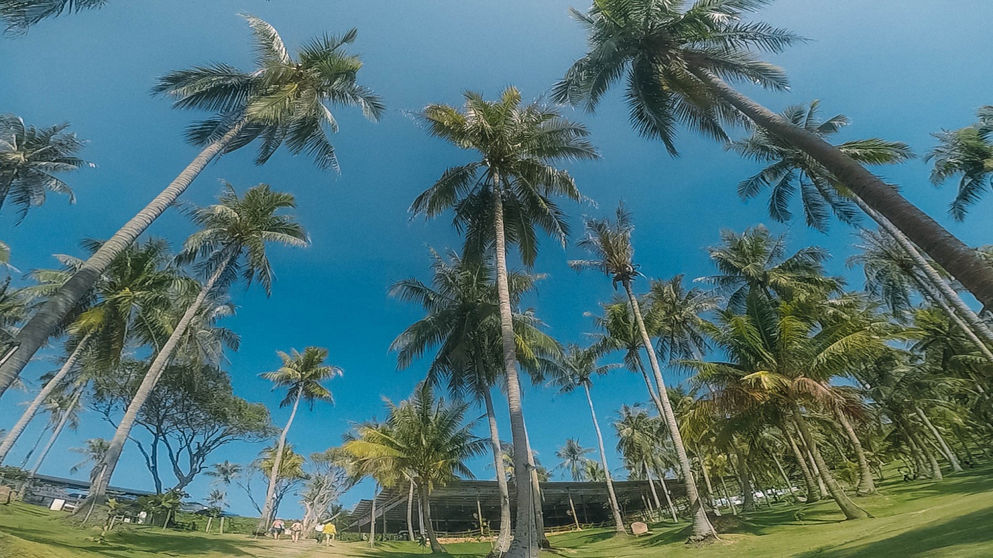 Kinh nghiệm du lịch đảo Hòn Thơm Phú Quốc chỉ tốn khoảng 1.5 triệu 