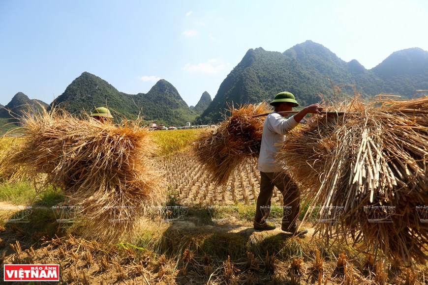 Non Nuoc Cao Bang, a land of amazing landscapes, Non Nuoc Cao Bang, Majestic beauty of Non Nuoc Cao Bang, Cao Bang, Vietnam News, VietnamPlus, Vietnam