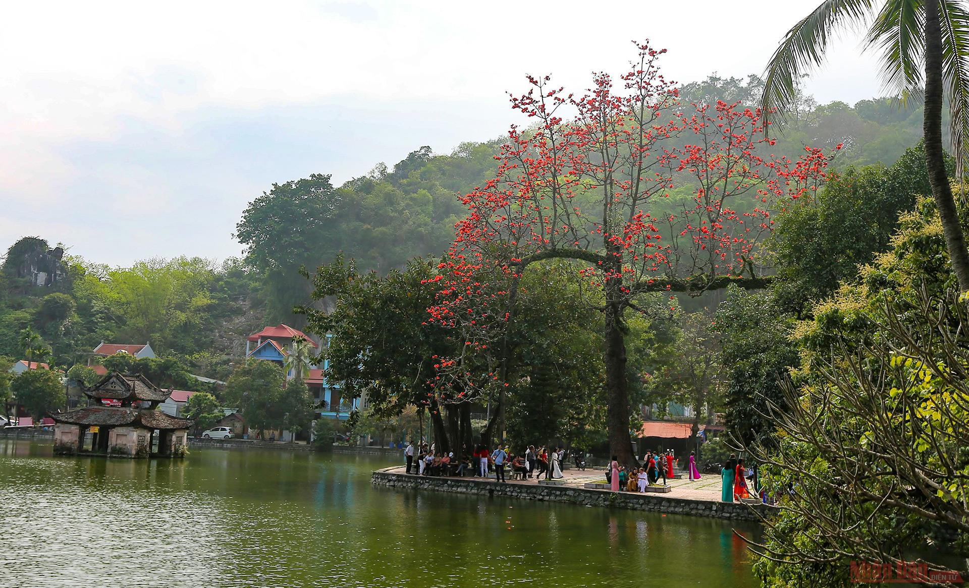 Buddhist temple brightened up with red cotton tree flowers