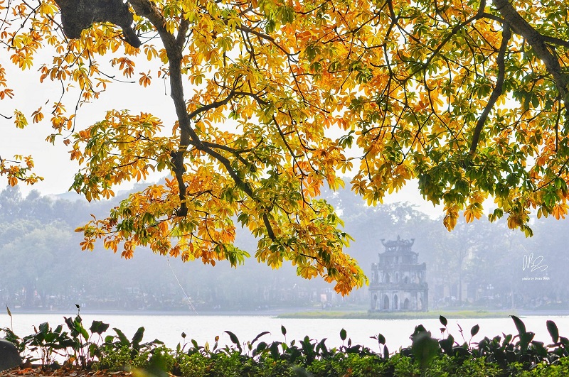 Hanoi targets cultural and MICE tourism