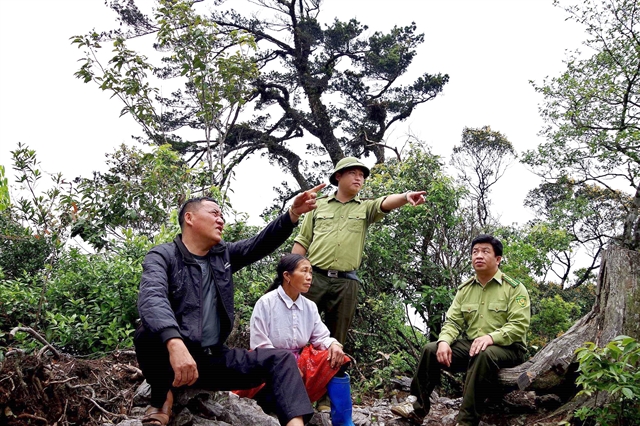 Forest Protection, payment, culture, tourism, Hoa Binh, Eco-tourism, forest environmental services