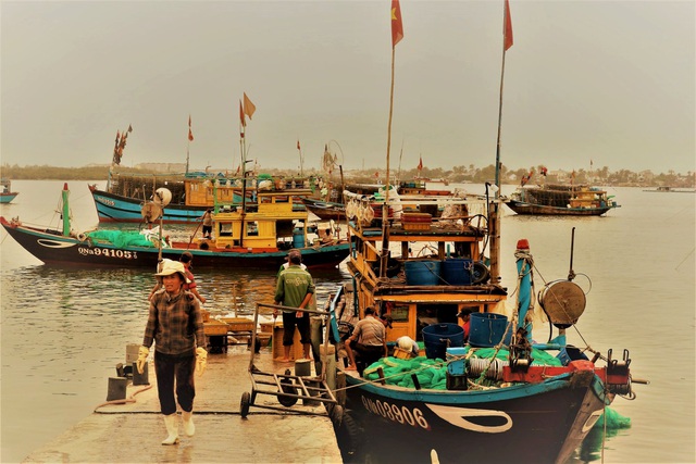 Quang Nam fishing port bustling with activities