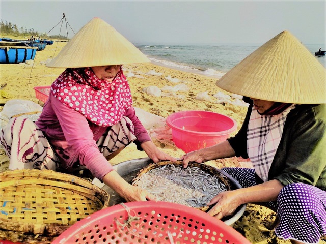 Quang Nam fishing port bustling with activities